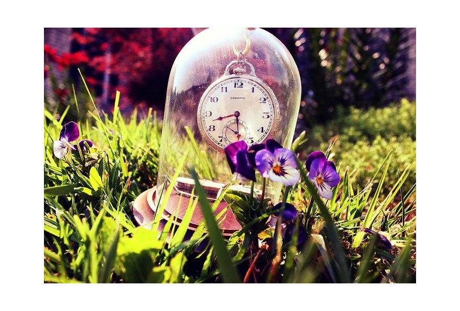 Modne kolorowe zegarki na lato 2023